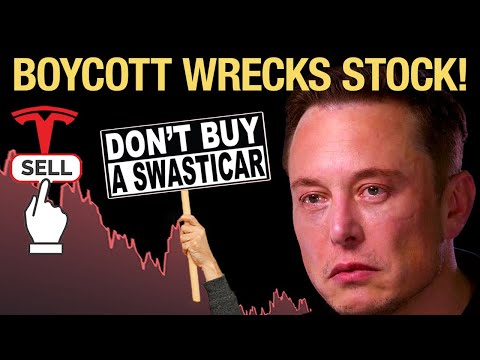Tesla Stock &amp; Sales SPIRAL as Anti-Elon Protests ROAR