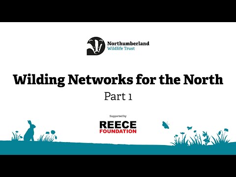 Wilding Networks for the North Conference (Part 1)