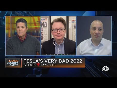 Two Tesla watchers weigh in on the road ahead for the company and stock