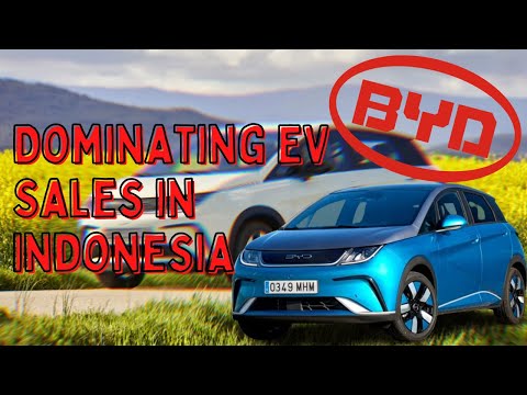 Inside BYD&#039;s EV Strategy How Partnerships and Affordable Models Lead the Way