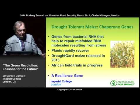 The Green Revolution: Lessons for the Future by Sor Gordon Conway (UK)