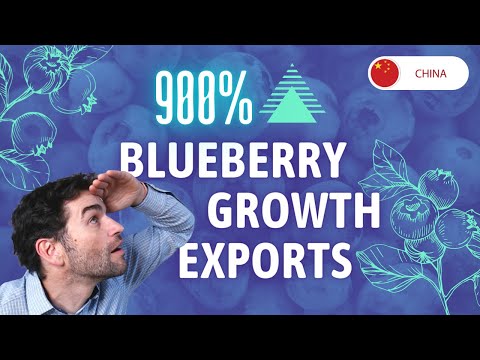 Chinese Blueberry Industry: Explosive Growth and Global Impact