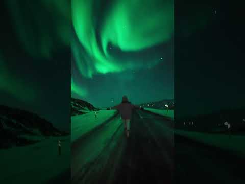Northern Lights