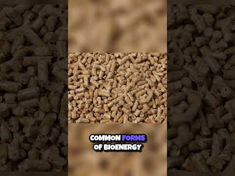 Unlocking the Power of Bioenergy Fueling the Future with Biofuels! 🌿