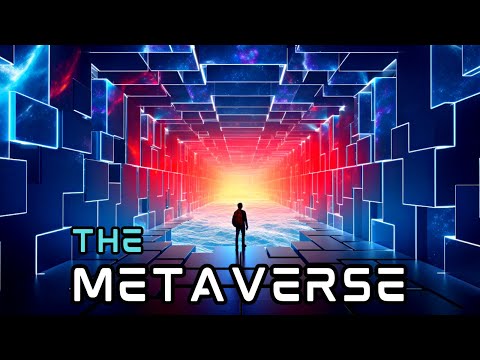 Life Inside the Metaverse
