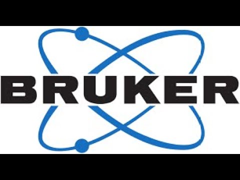 Present value of BRKR