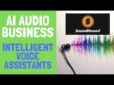 Driving the Voice AI Revolution || SoundHound