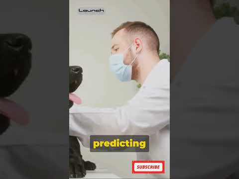 AI Revolutionizing Veterinary Medicine
