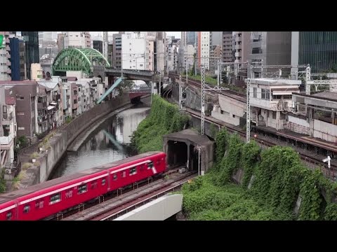 Tokyo Metro seen raising $2.3 billion in biggest Japan IPO for years | REUTERS