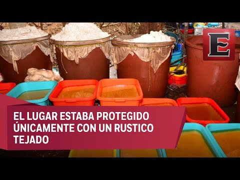 Decomisan casi 50 toneladas de cristal en narcolaboratorio en Sinaloa