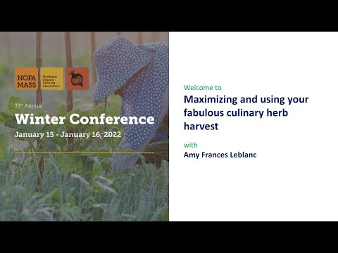 Maximizing and Using your Fabulous Culinary Herb Harvest (Winter Conference Workshop)