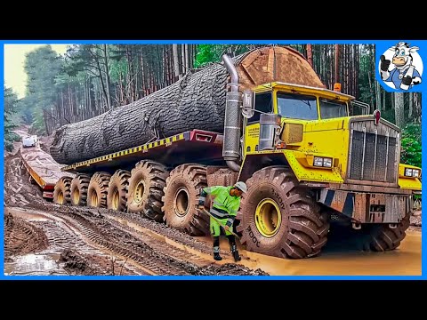 150 Extremely Dangerous Monster Wood Truck Driving Skills | Timber Transport | Heavy Equipment Fails