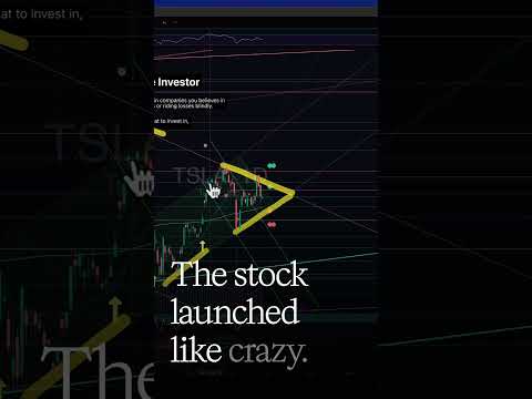 Tesla&#039;s Shocking Stock Surge Despite Bad Earnings