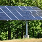 Debate Heats Up: Should Thetford Forest Embrace Solar Power?